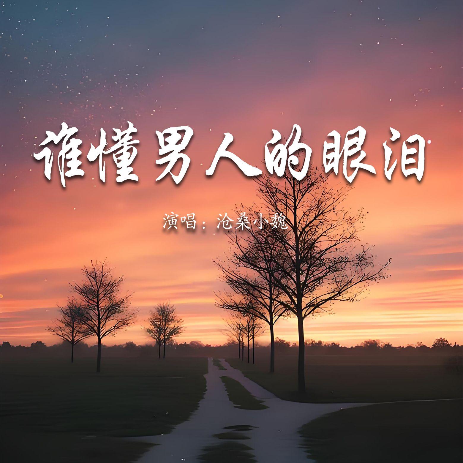 谁懂男人的眼泪封面
