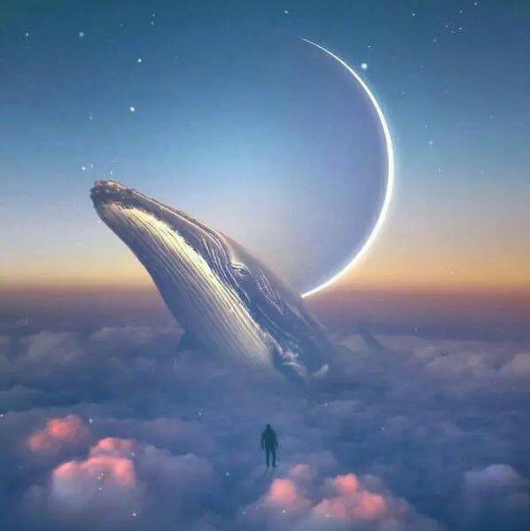 纯音乐写作业／看书轻音乐／刷题背书安享乐