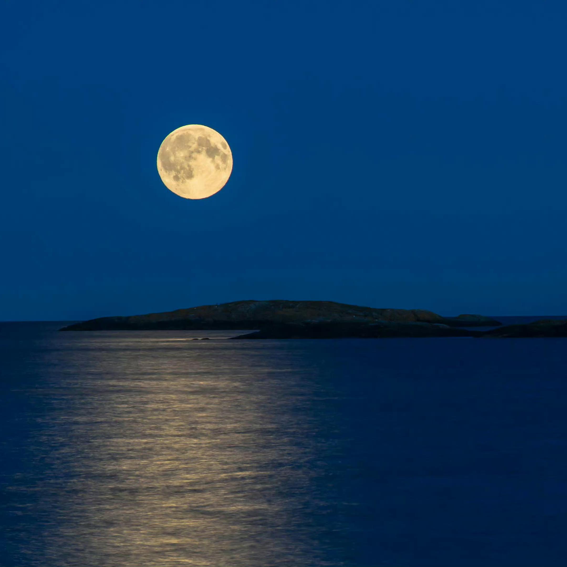 蓝色系｜氛围感｜发光的海 蓝色的梦境