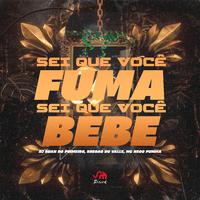 Sei Que Você Fuma, Sei Que Você Bebe (feat. Bregão du Valle & MC NEGO PUMMA)