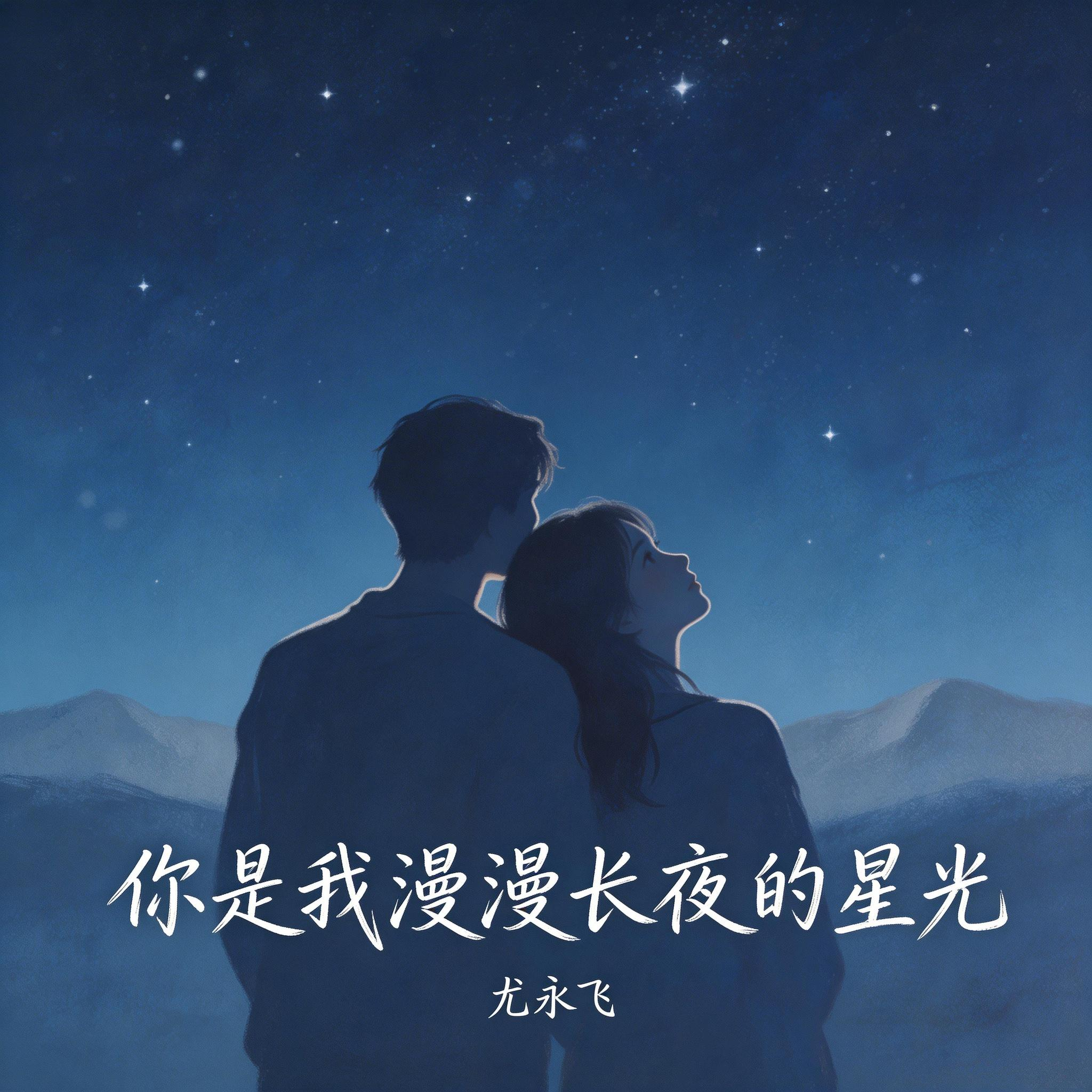 你是我漫漫长夜的星光 伴奏封面