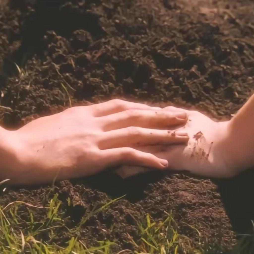 Romantic love x 散发荷尔蒙的浪漫