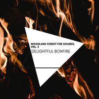 Delightful Bonfire - Woodland Forest Fire Sounds, Vol. 2