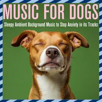 Music for Dogs: Sleepy Ambient Background Music to Stop Anxiety in its Tracks