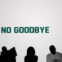 No Goodbye