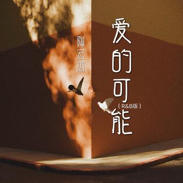 爱的可能 (R&B版)封面