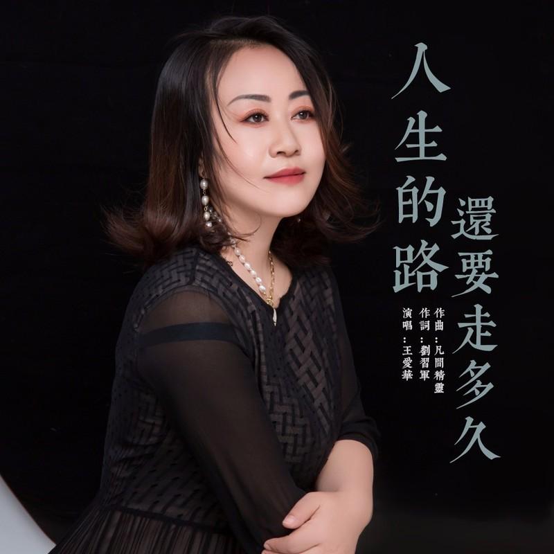 人生的路还要走多久 (DJ版伴奏) - 王爱华封面