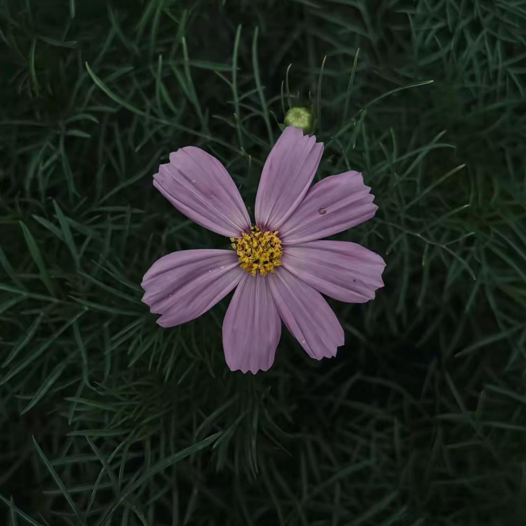 微醺R&B｜选R&B还是RMB？