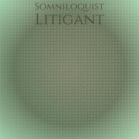 Somniloquist Litigant