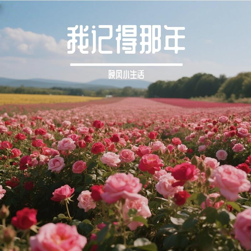 异心引力的爱情 - 晚风小生活封面