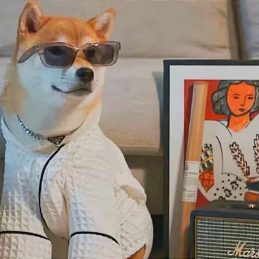 《听了会开心一整天的歌》