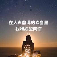 在人声鼎沸的欢喜里 我唯独望向你