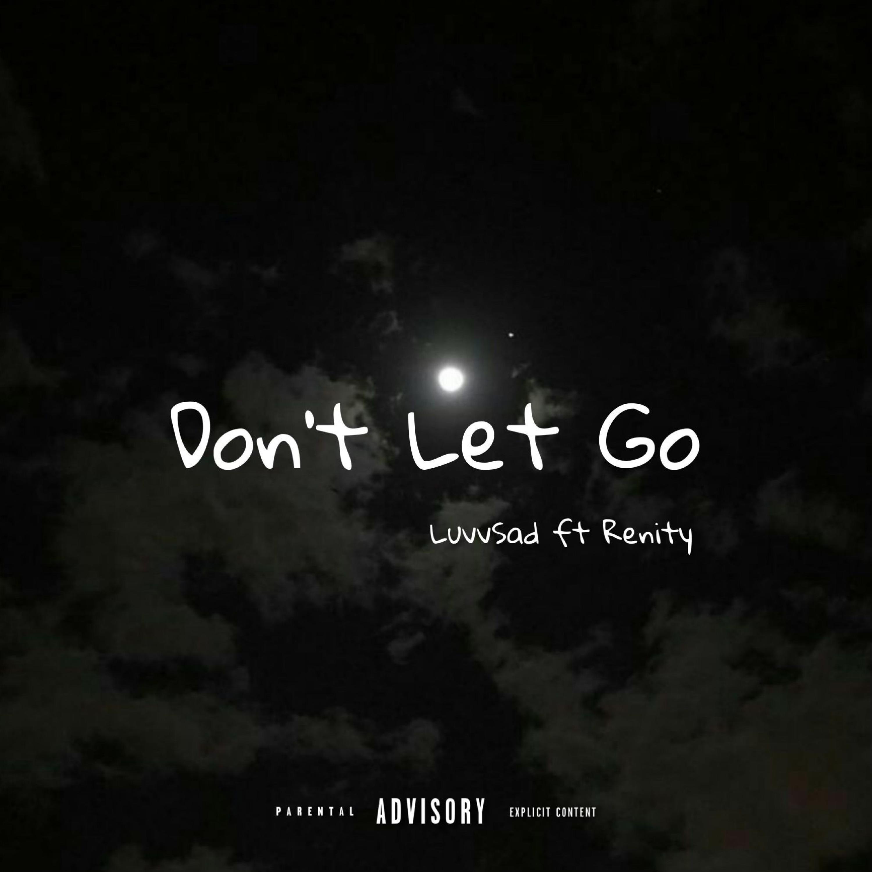 Don't Let Go (feat. Renity)