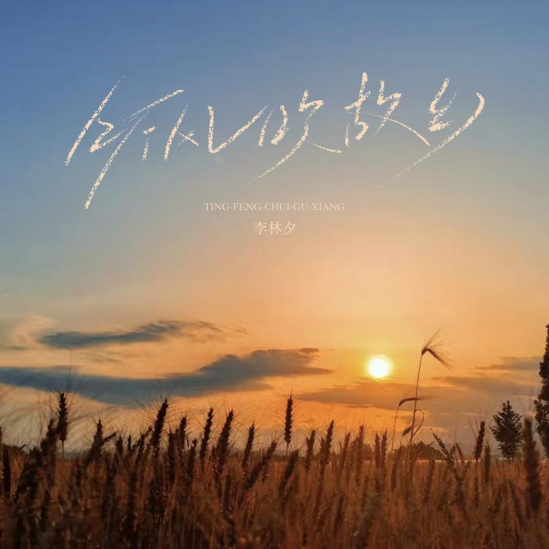 听风吹故乡封面