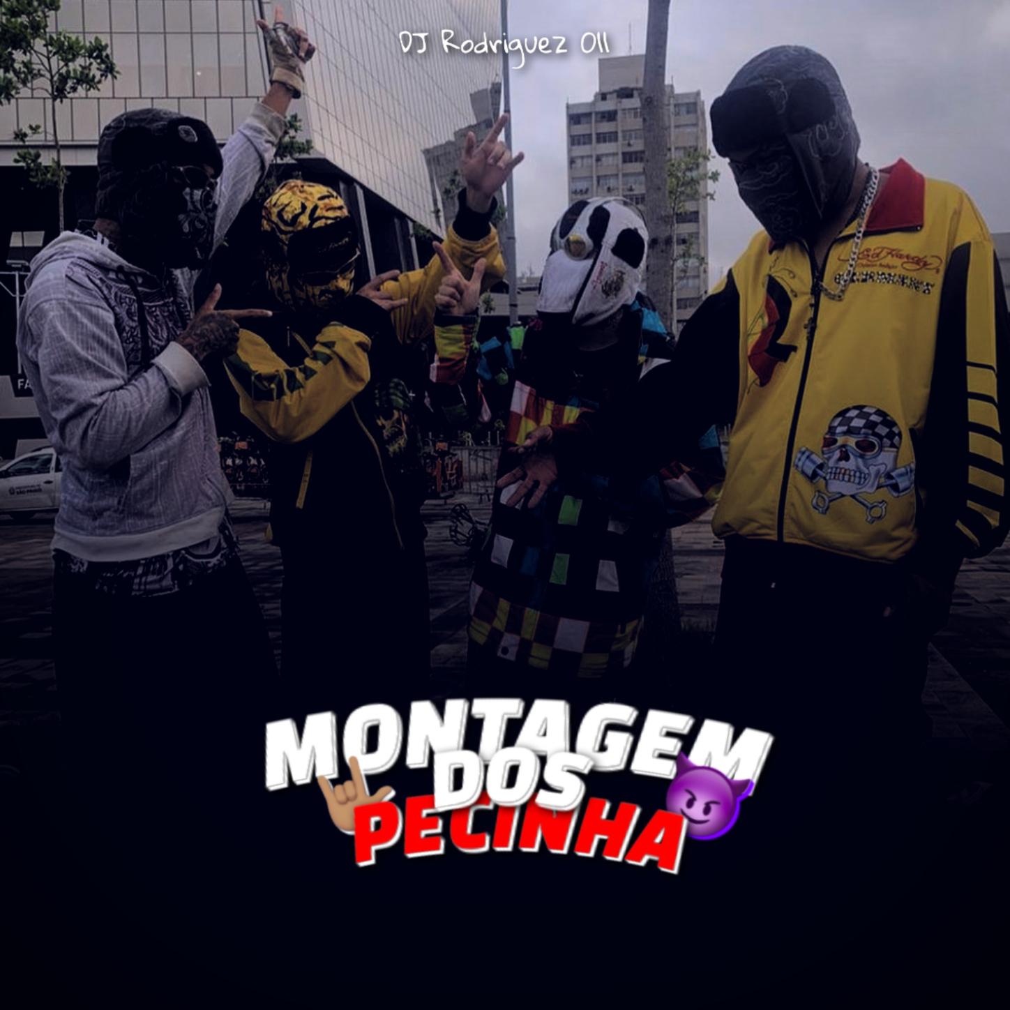 MONTAGEM DOS PECINHA