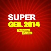 Super Geil 2014 (Die Hammer Partyhits)