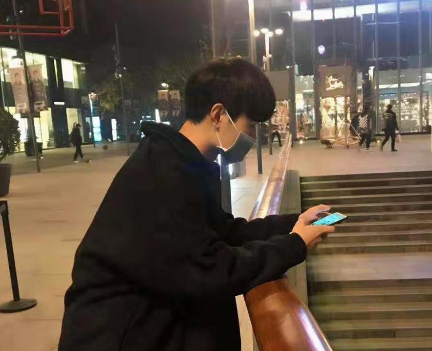 一只柠檬犬