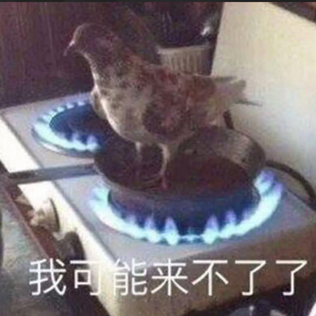 狠大树