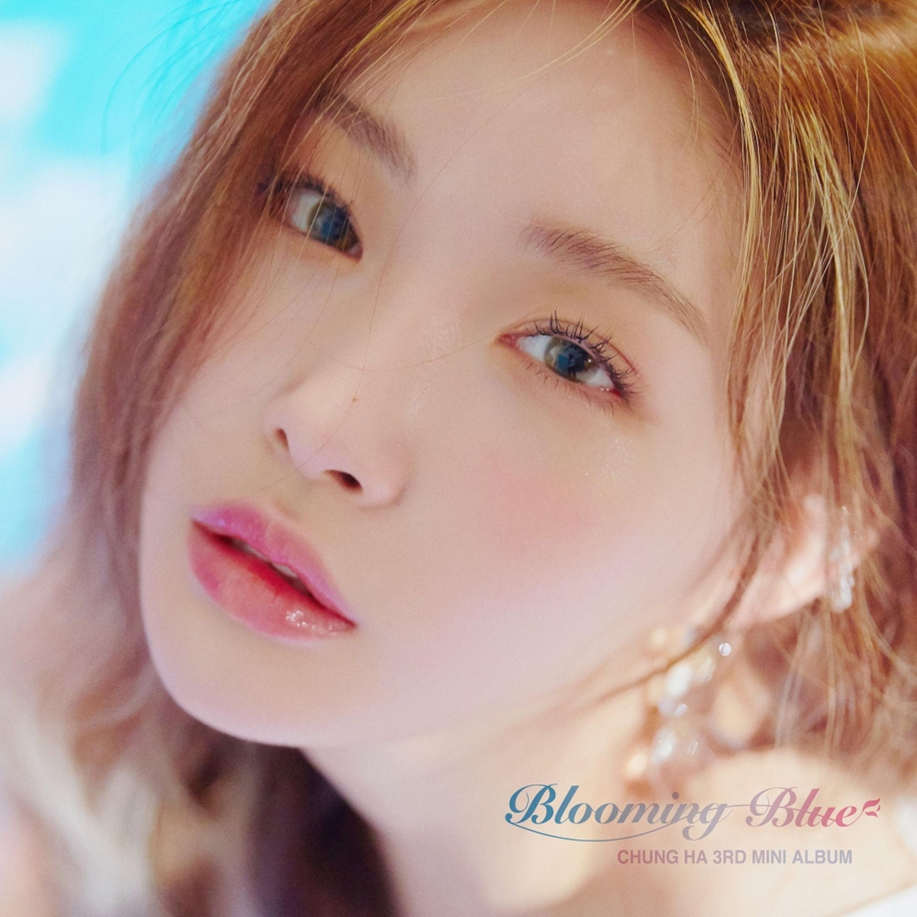请夏 ·《Blooming Blue》