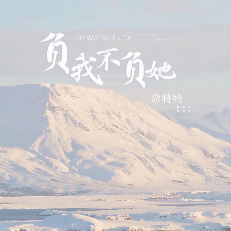 负我不负她 (DJ版)封面