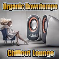 Hybrid Organic Downtempo Chillout Lounge