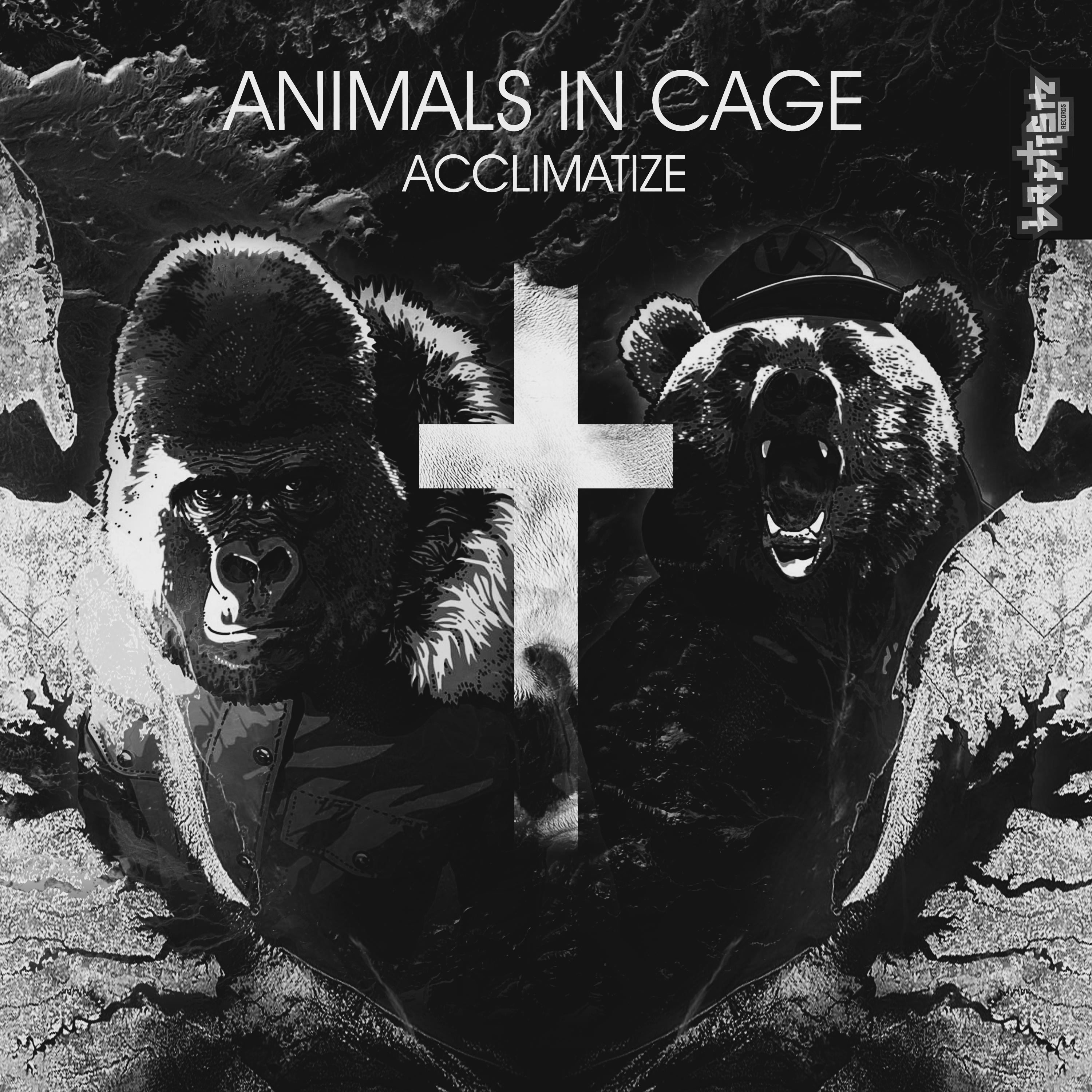 acclimatize
