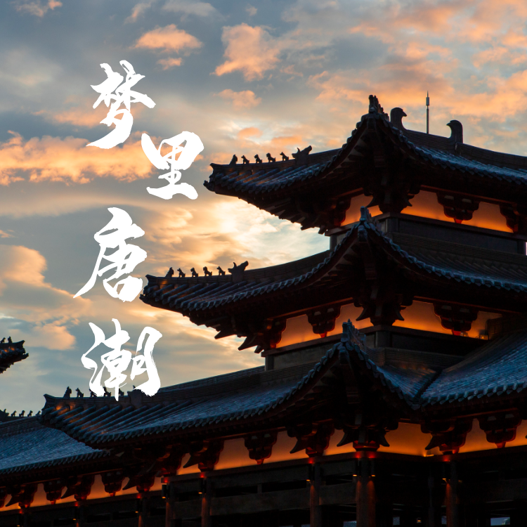 双刀封面
