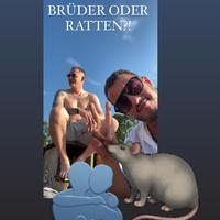 Brüder oder Ratten?! (feat. Albega)