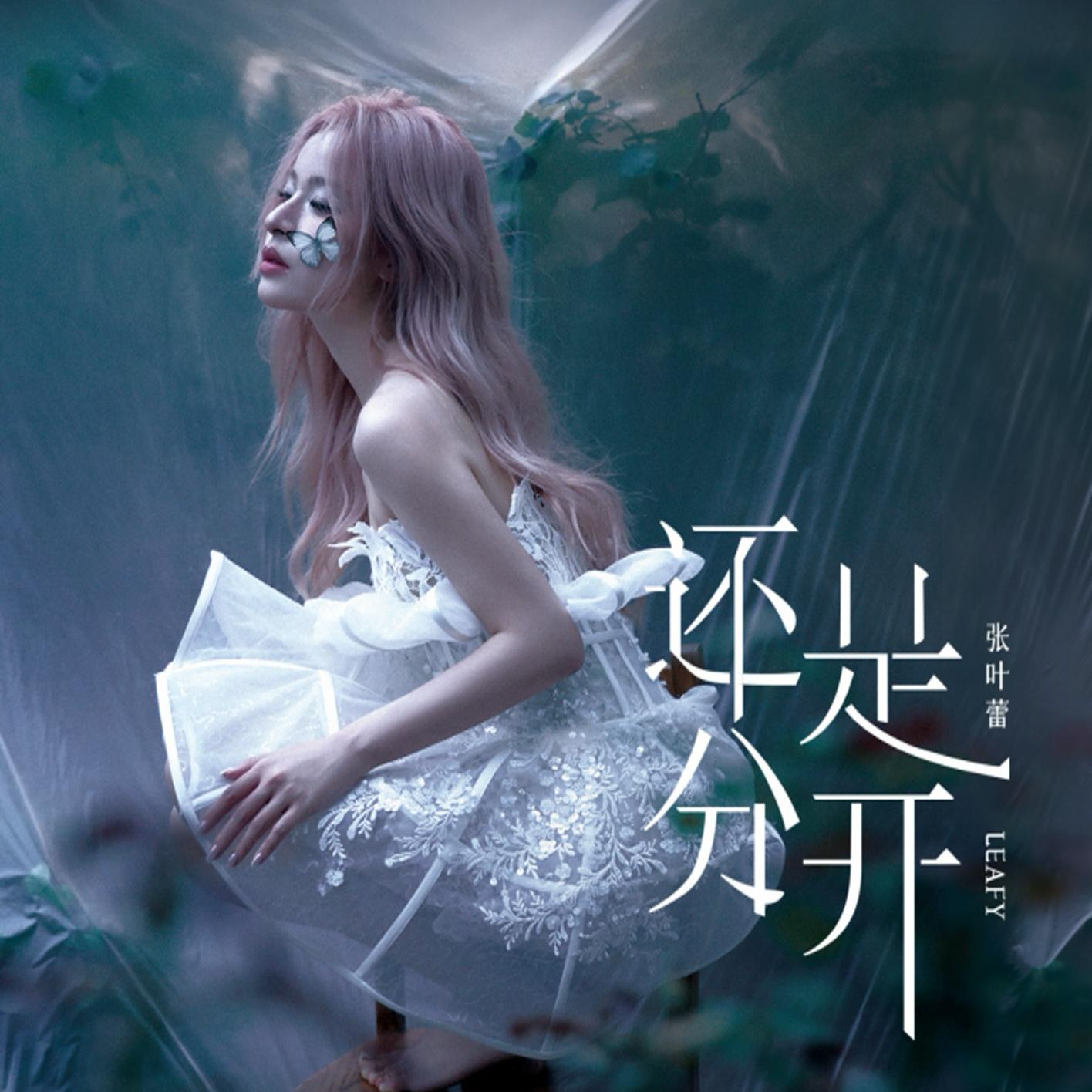 张叶蕾「还是分开」2025广州场歌单