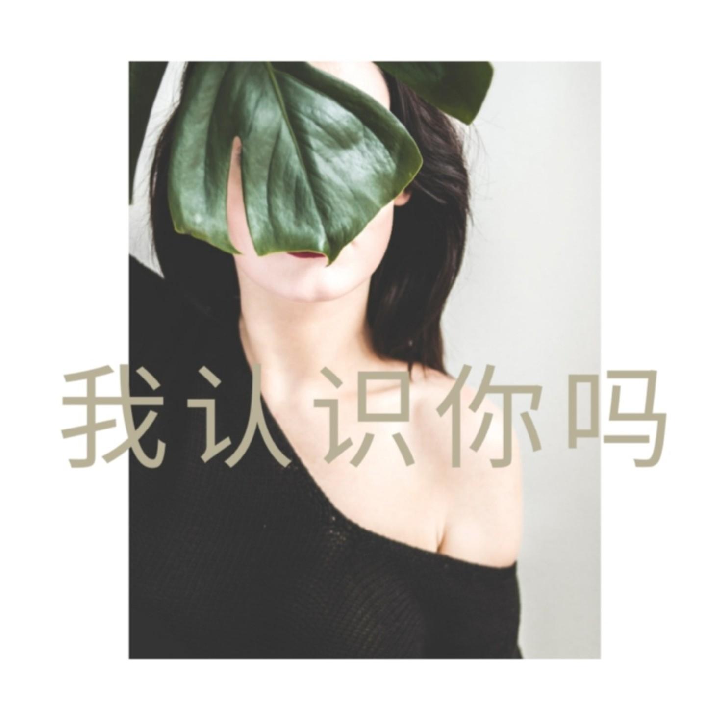 我认识你吗封面