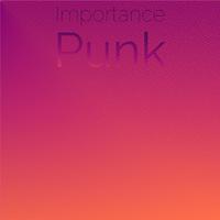 Importance Punk