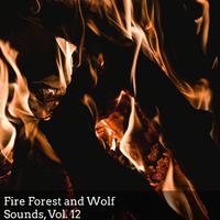 Fire Forest and Wolf Sounds, Vol. 12