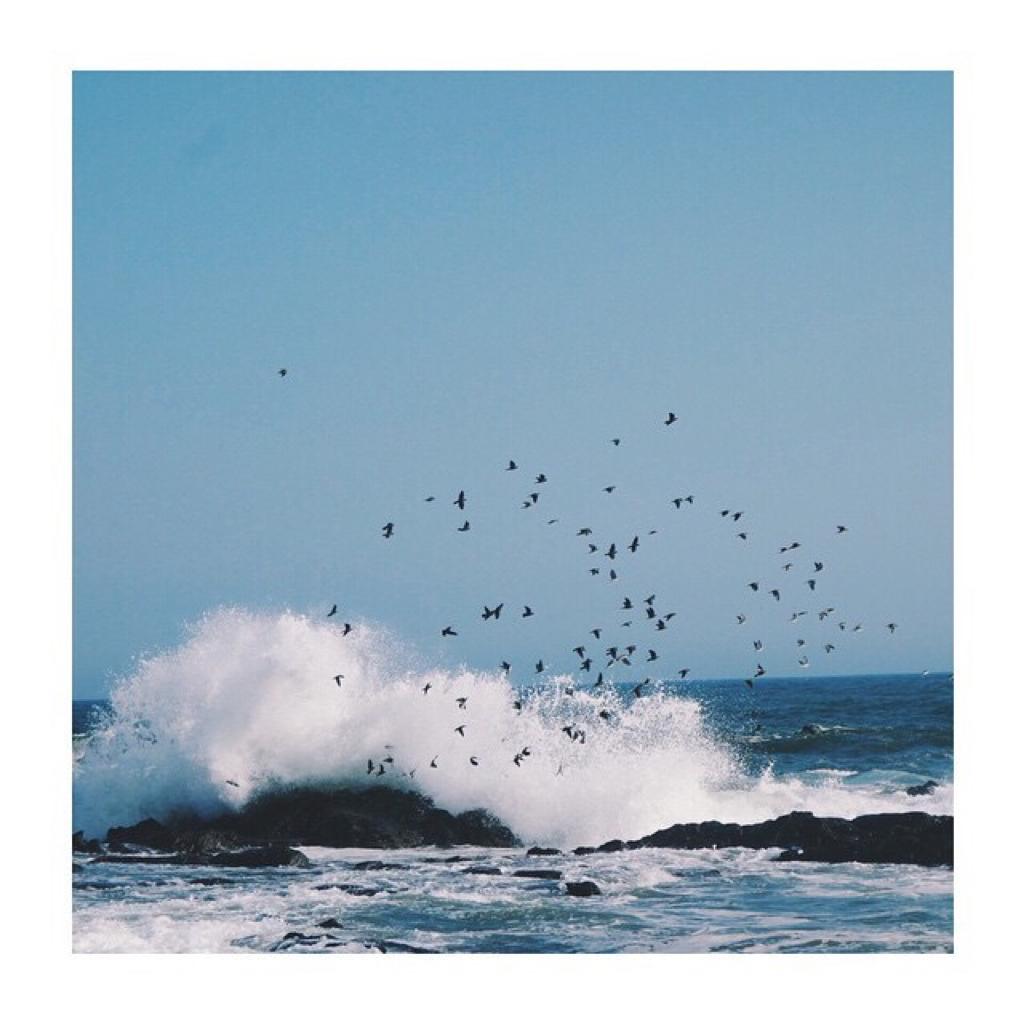 南方蝶道限速 6 0 k m / h