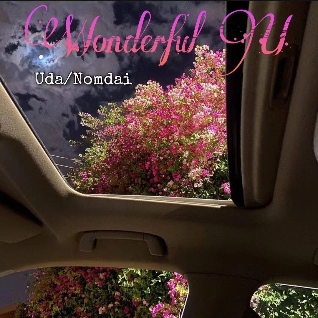 Wonderful U (pord by siren)