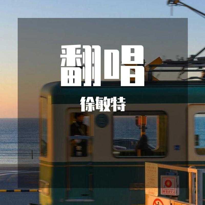 谁不是在流浪 - 徐敏特封面