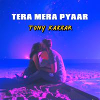 Tera Mera Pyaar (Lofi)