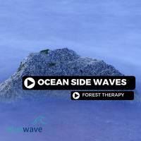 Ocean Side Waves