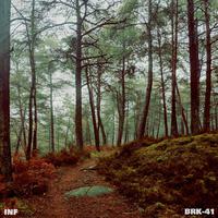 Wandering Path