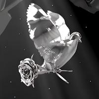 DUMP THAT KNOCK (feat. NBS Bdott & LeakyBillz)