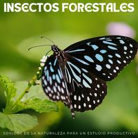 Insectos Forestales: Sonidos De La Naturaleza Para Un Estudio Productivo