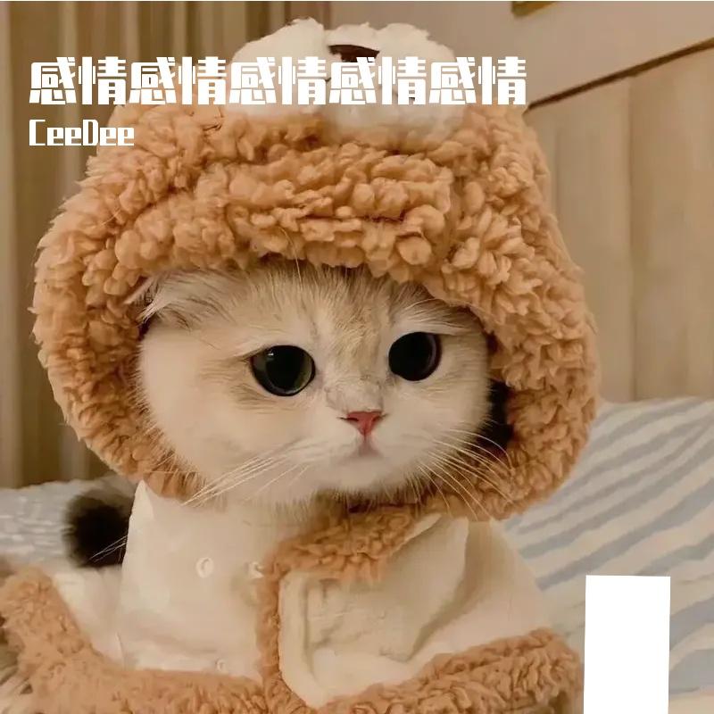 银杏封面