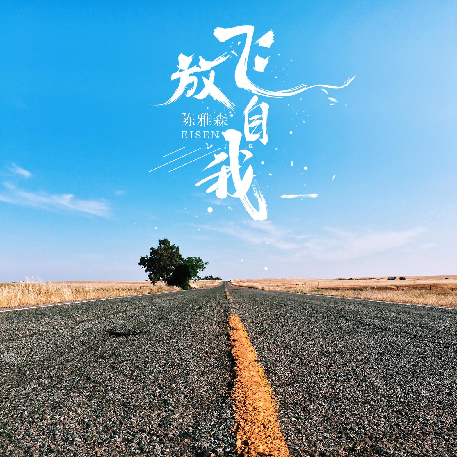 放飞自我 (DJ何鹏版伴奏)封面