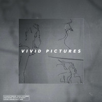 Vivid Pictures