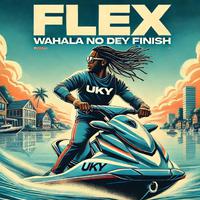 Flex (Wahala No Dey Finish)