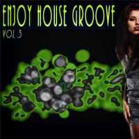 Enjoy House Groove, Vol. 3 - a of the Finest House Musi