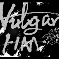 Vulgar Human