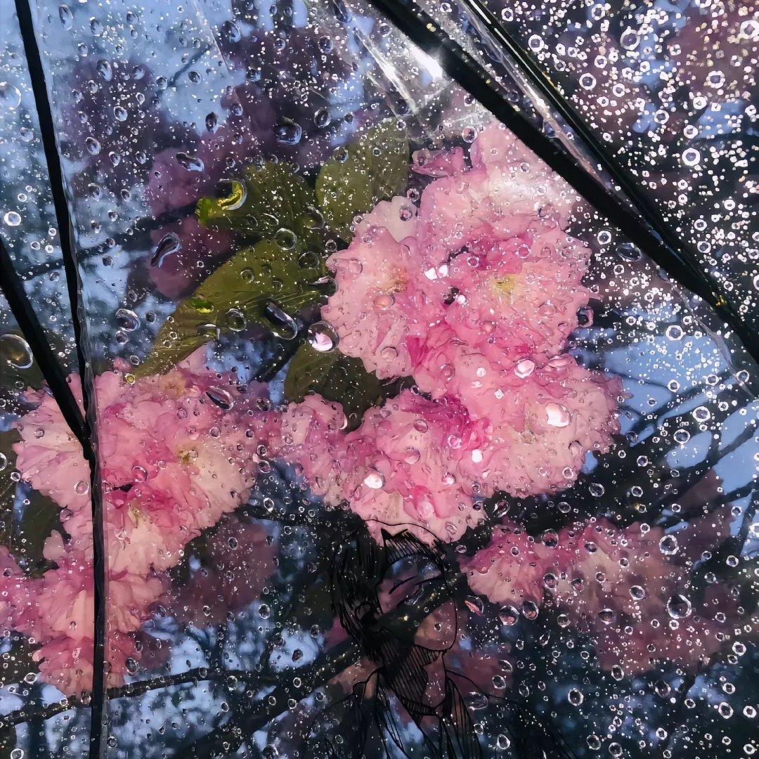 时光胶囊 是回忆加了分_鹿子梨_时光胶囊 | 在线播放_时光胶囊 是回忆加了分歌词_时光胶囊 是回忆加了分下载 | 网易云音乐