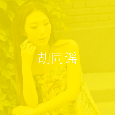 胡同谣封面