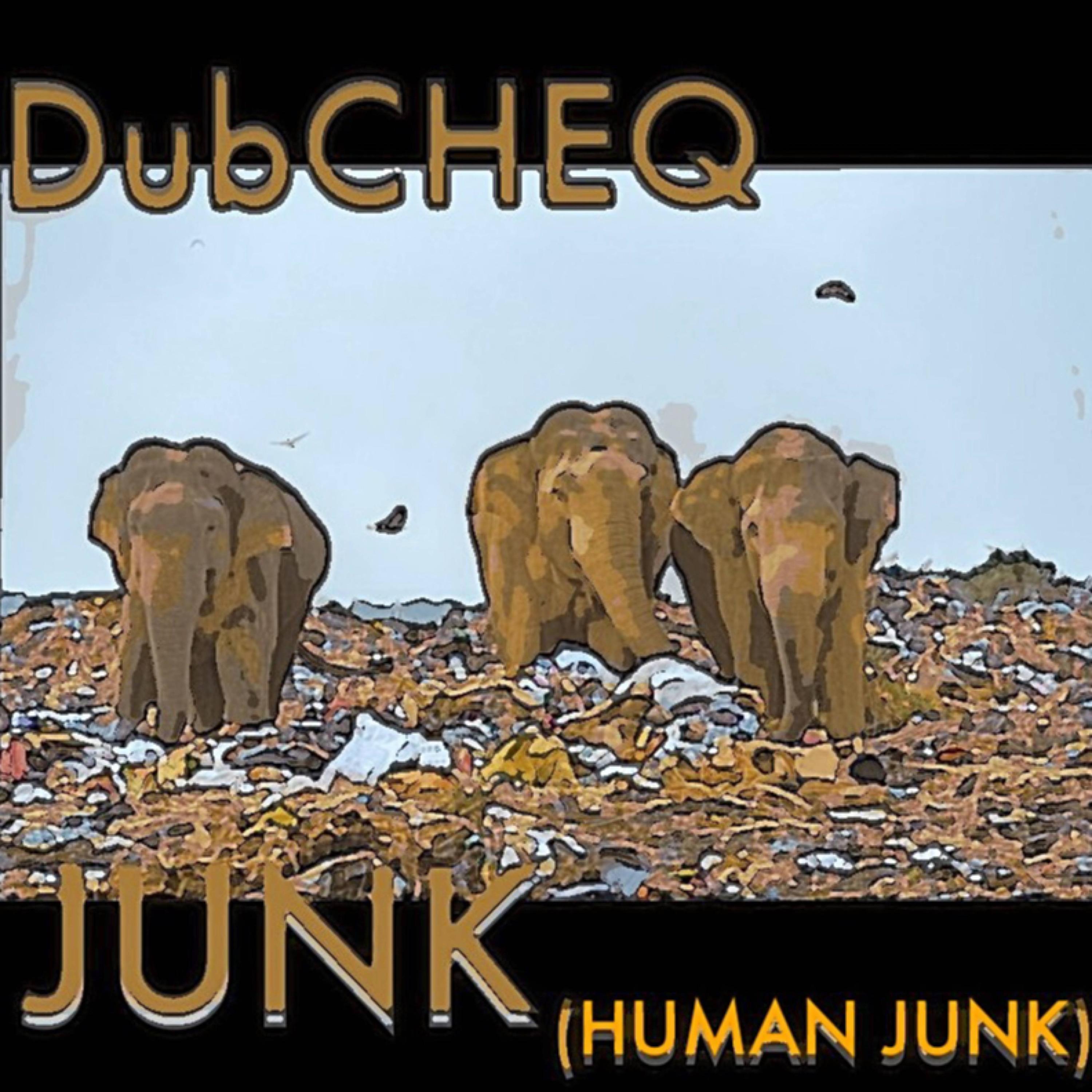 Junk (Human Junk)