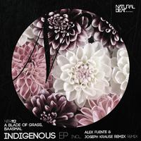 Indigenous
